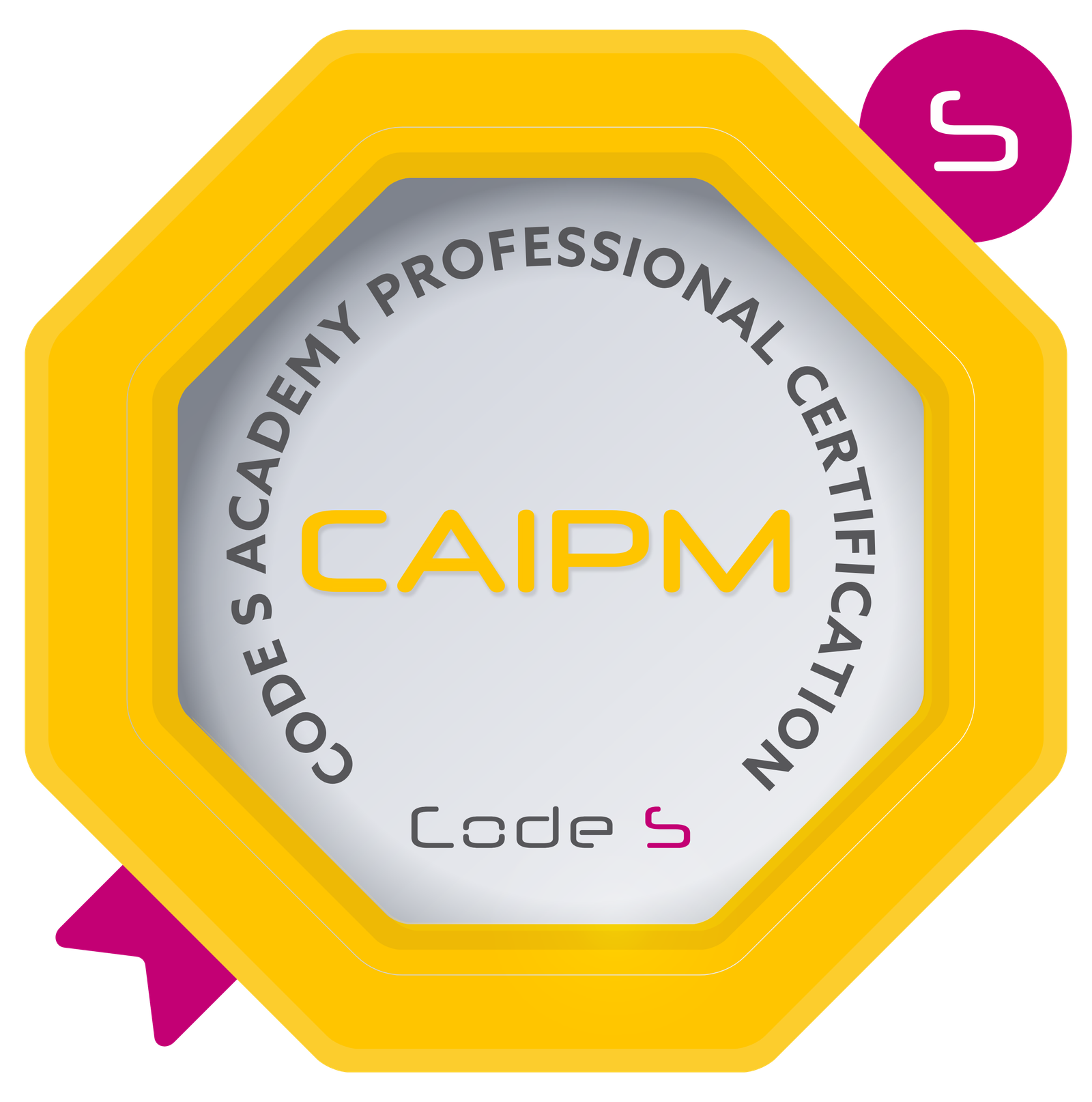 Certified AI & Project Manager (CAIPM)